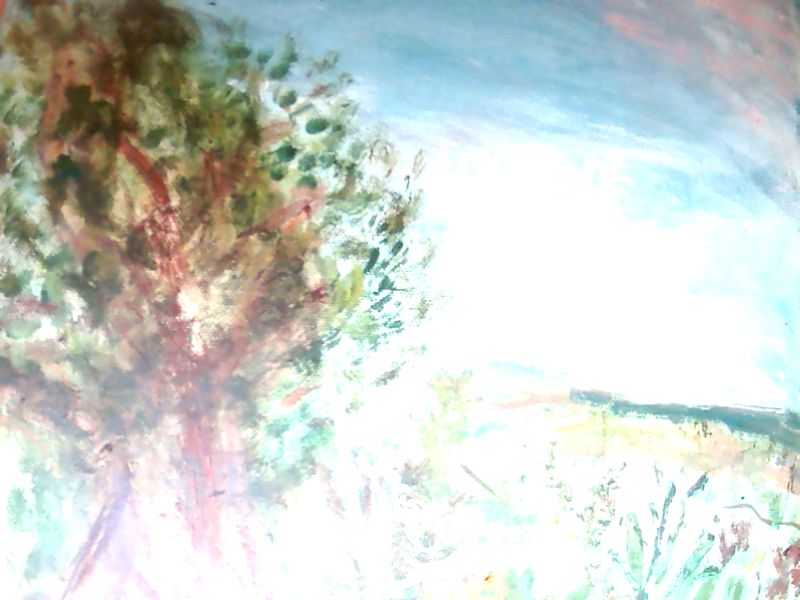 Suceava River Landscape